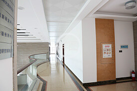 電解91视频在线观看廠家